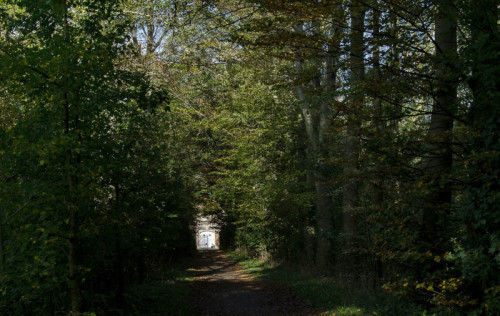 Eine Allee, ein Schotter Weg umgeben von Bäumen führt auf das Haus Rüschhaus zu.