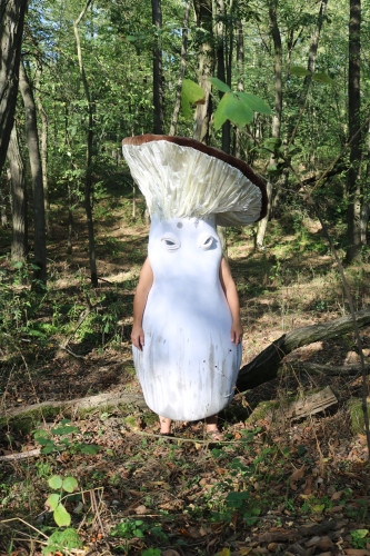 pilz-werden_credit-ruth-wenner