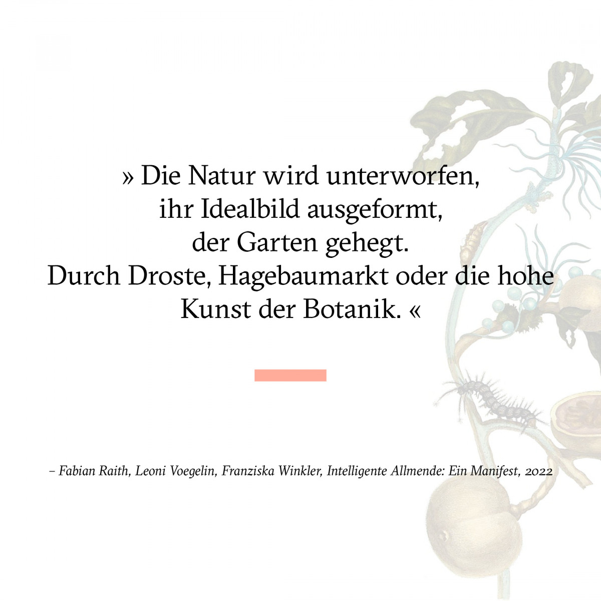 cfl-2022-gegenwartserde-socialmedia-2