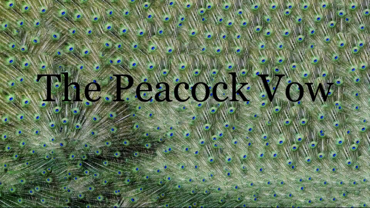 Video preview image