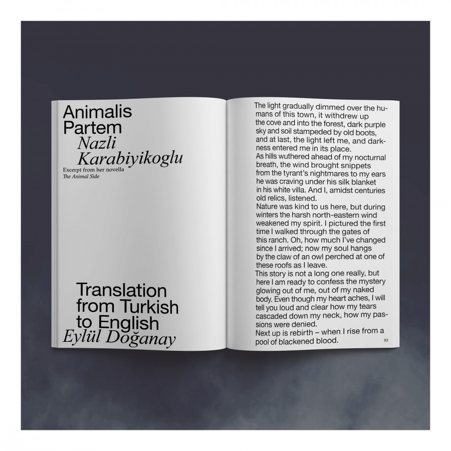 word-5-darkmagic-mock-spread-website10